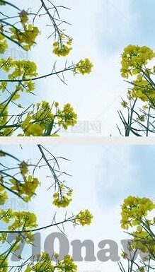 探索体育世界新窗口，体育App入口网页版全解析